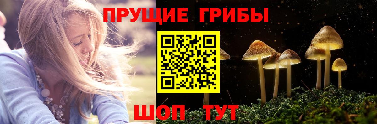 Галлюциногенные грибы GOLDEN TEACHER Королёв